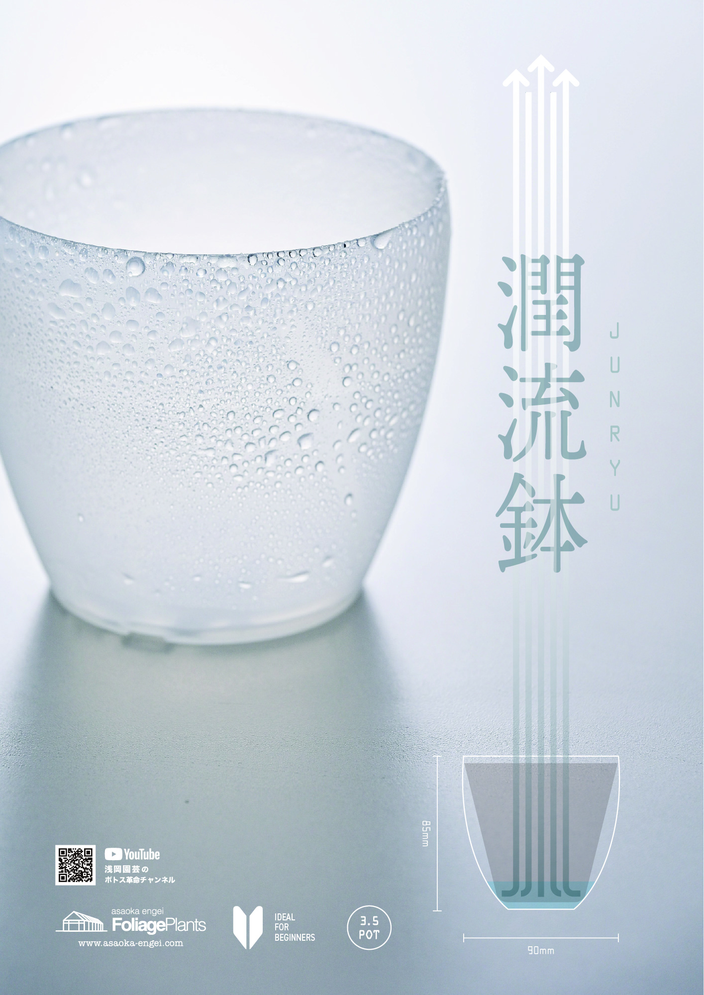 透明鉢ネガミエル